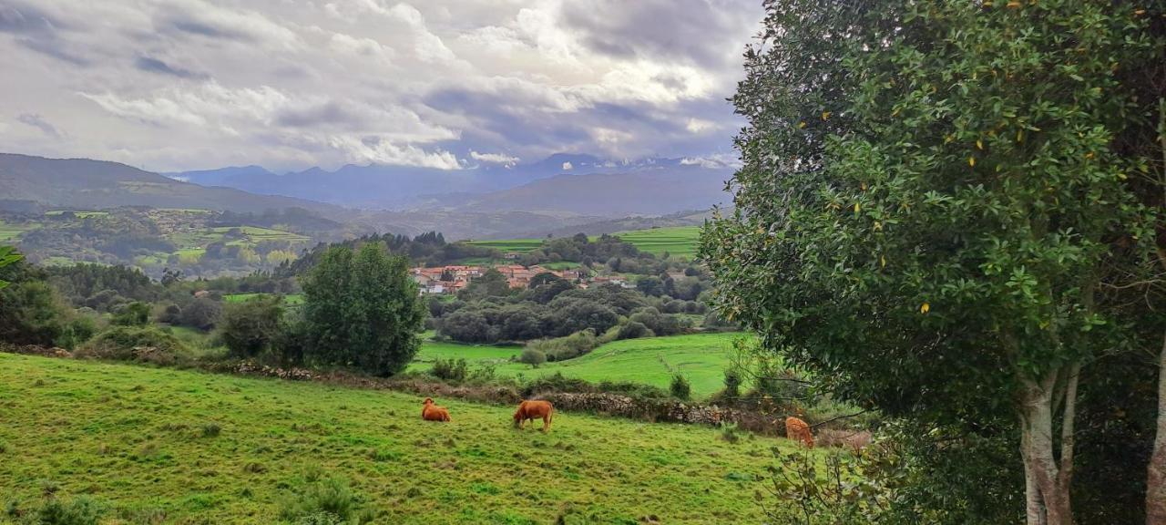 Casa Del Cura Ξενοδοχείο Molleda Εξωτερικό φωτογραφία